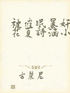 被催眠暴奸的校花夏诗涵小说