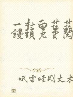 一对白花花的大馒头免费阅读