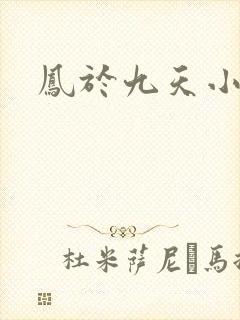 凤于九天小说