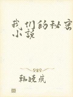 我们的秘密泰剧小说