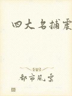 四大名捕震关东