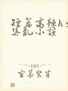 短篇高辣h文合集乱小说