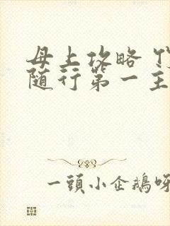 母上攻略 竹影随行第一主板