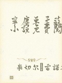 宁尘单柔苏千雪小说免费阅读最新