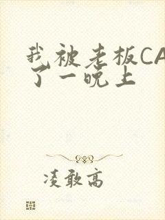 我被老板CAO了一晚上