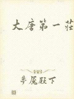 大唐第一庄