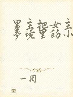 男主把女主拖进梦境里的小说