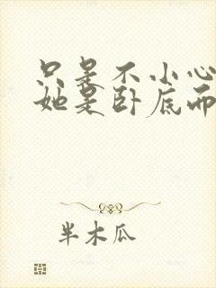 只是不小心发现她是卧底而已