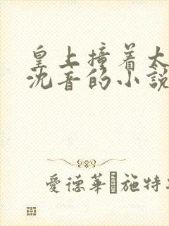 皇上撞着太子妃沈音的小说叫什么