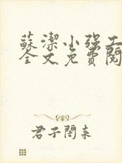 苏洁小强工地情全文免费阅读