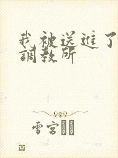 我被送进了私奴调教所