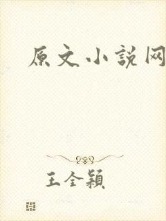 原文小说网