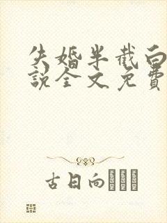 失婚半截白菜小说全文免费阅读