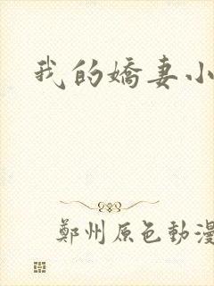我的娇妻小说