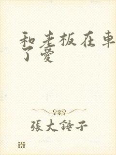 和老板在车里做了爱