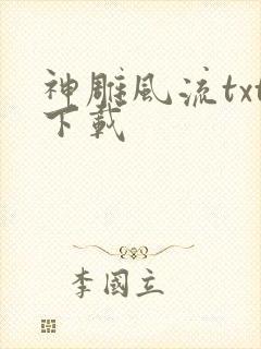 神雕风流txt下载