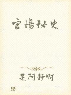 官场秘史