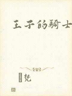 王子的骑士小说