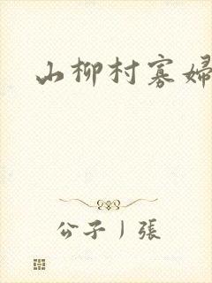 山柳村寡妇情史