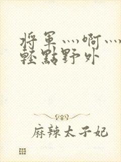 将军灬啊灬啊灬轻点野外