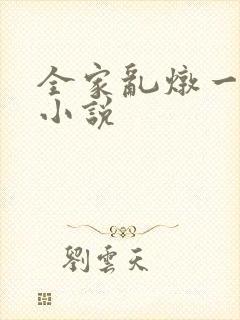 全家乱炖一锅烩小说
