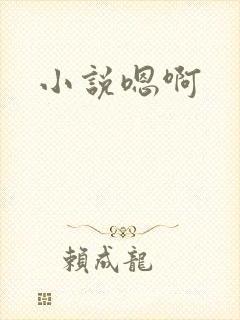小说嗯啊