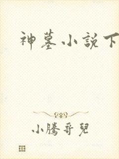 神墓小说下载