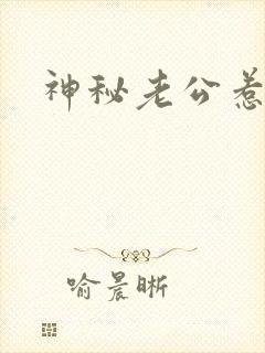 神秘老公惹不起