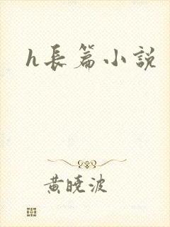 h长篇小说