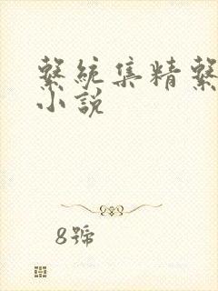 系统集精系统 小说