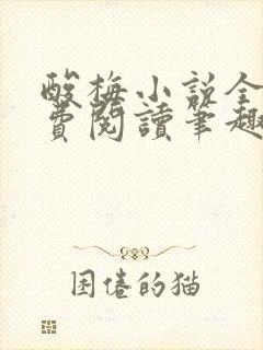 酸梅小说全文免费阅读笔趣阁