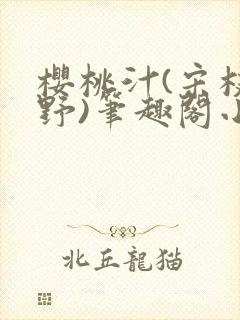 樱桃汁(宋枝江野)笔趣阁小说