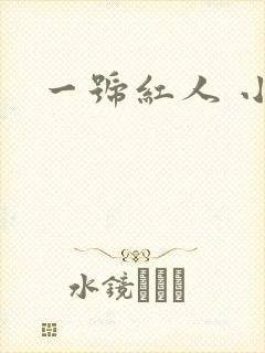 一号红人 小说