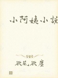 小阿姨小说
