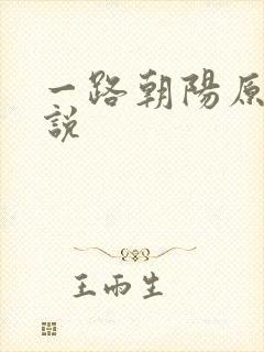 一路朝阳原著小说