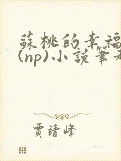 苏桃的幸福生活(np)小说笔趣阁