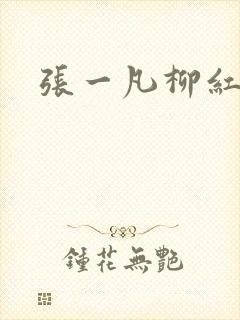 张一凡柳红