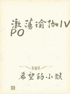 激荡瑜伽1V2PO