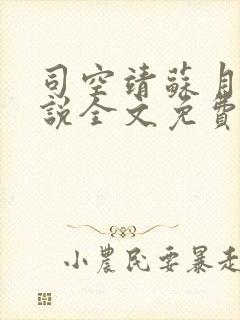 司空靖苏月汐小说全文免费阅读