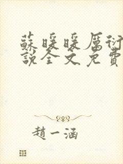 苏暖暖厉衍琛小说全文免费阅读