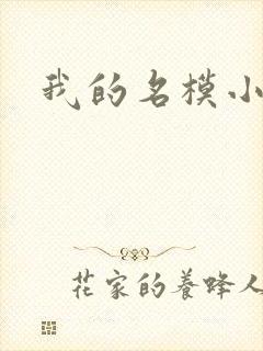 我的名模小娇妻