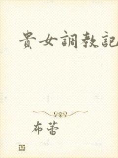 贵女调教记