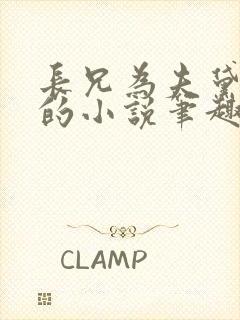 长兄为夫黛珂妃的小说笔趣阁全文