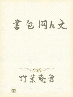 书包网h文