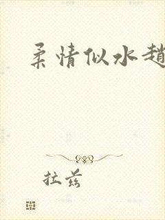 柔情似水赵雅儿