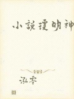 小说琼明神女录