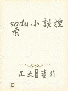 sodu小说搜索