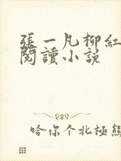 张一凡柳红免费阅读小说