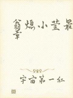 翁熄小莹最新节章