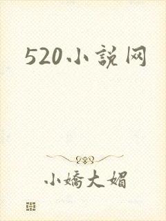 520小说网